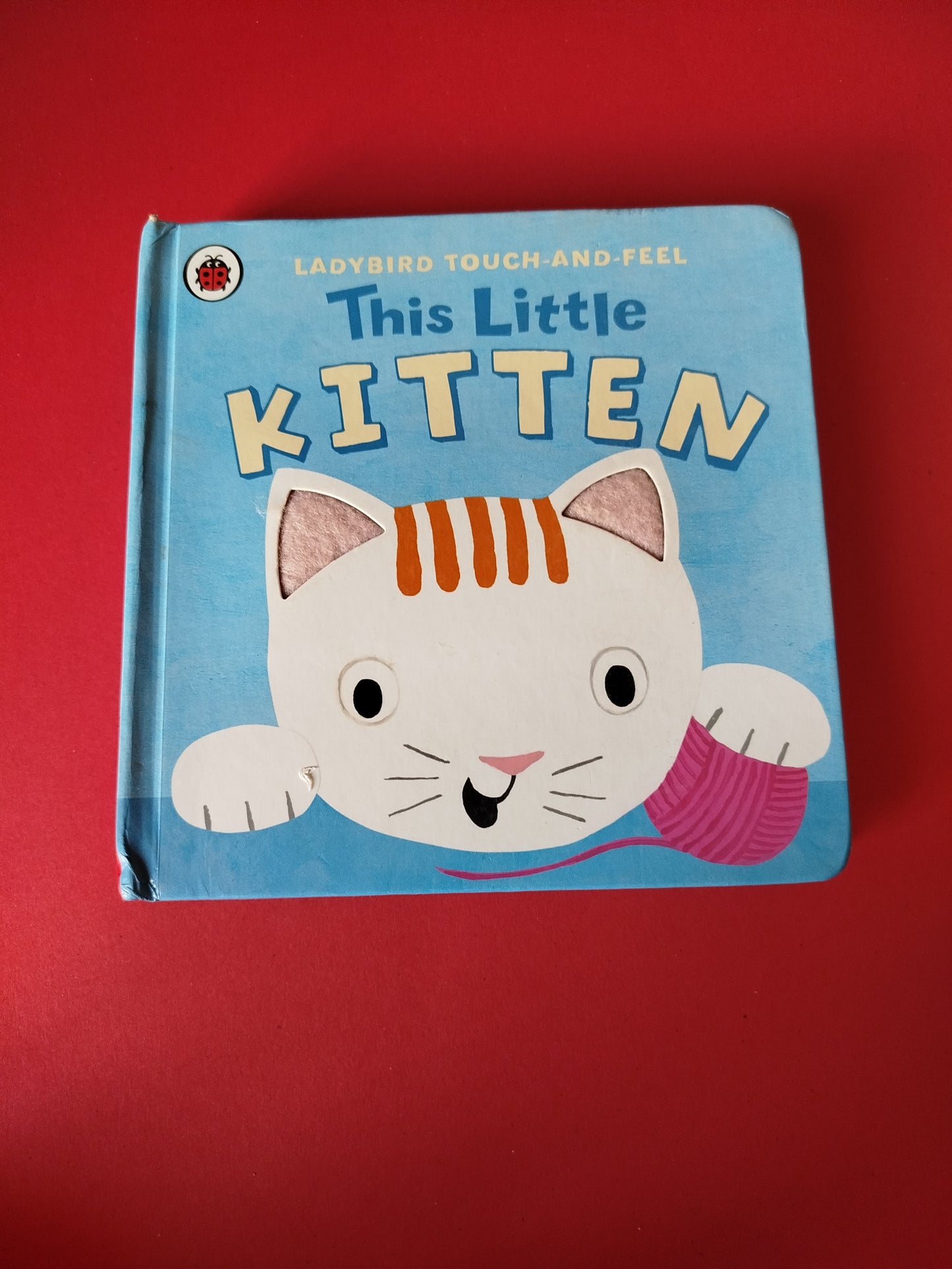 Touch and Feel This Little Kitten