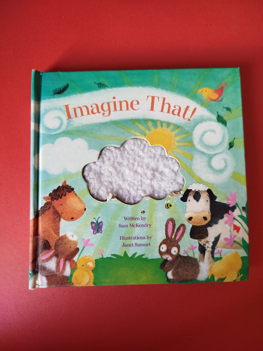 Imagine That!: A Touch And Feel Book