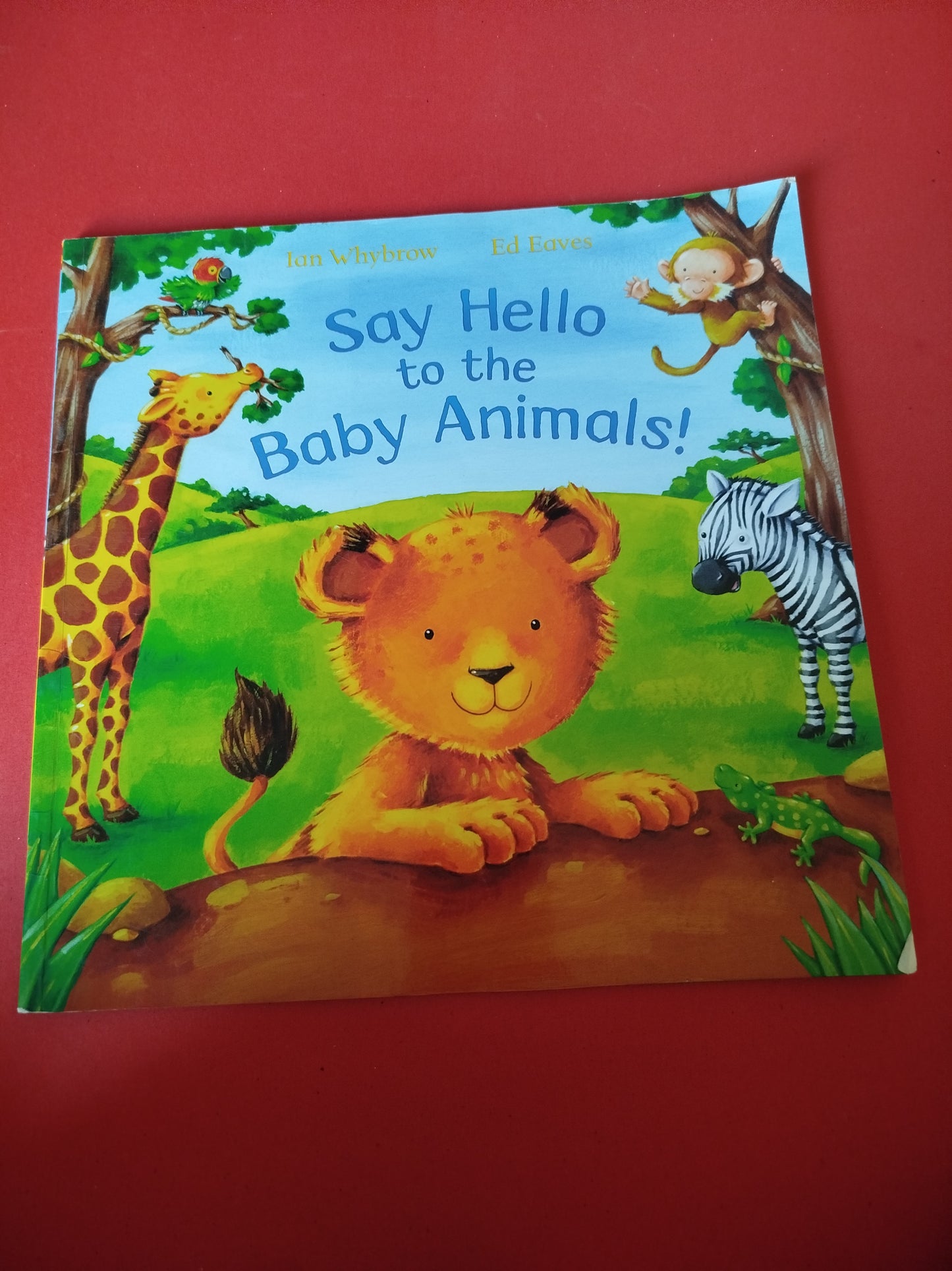 Say Hello to the Baby Animals!