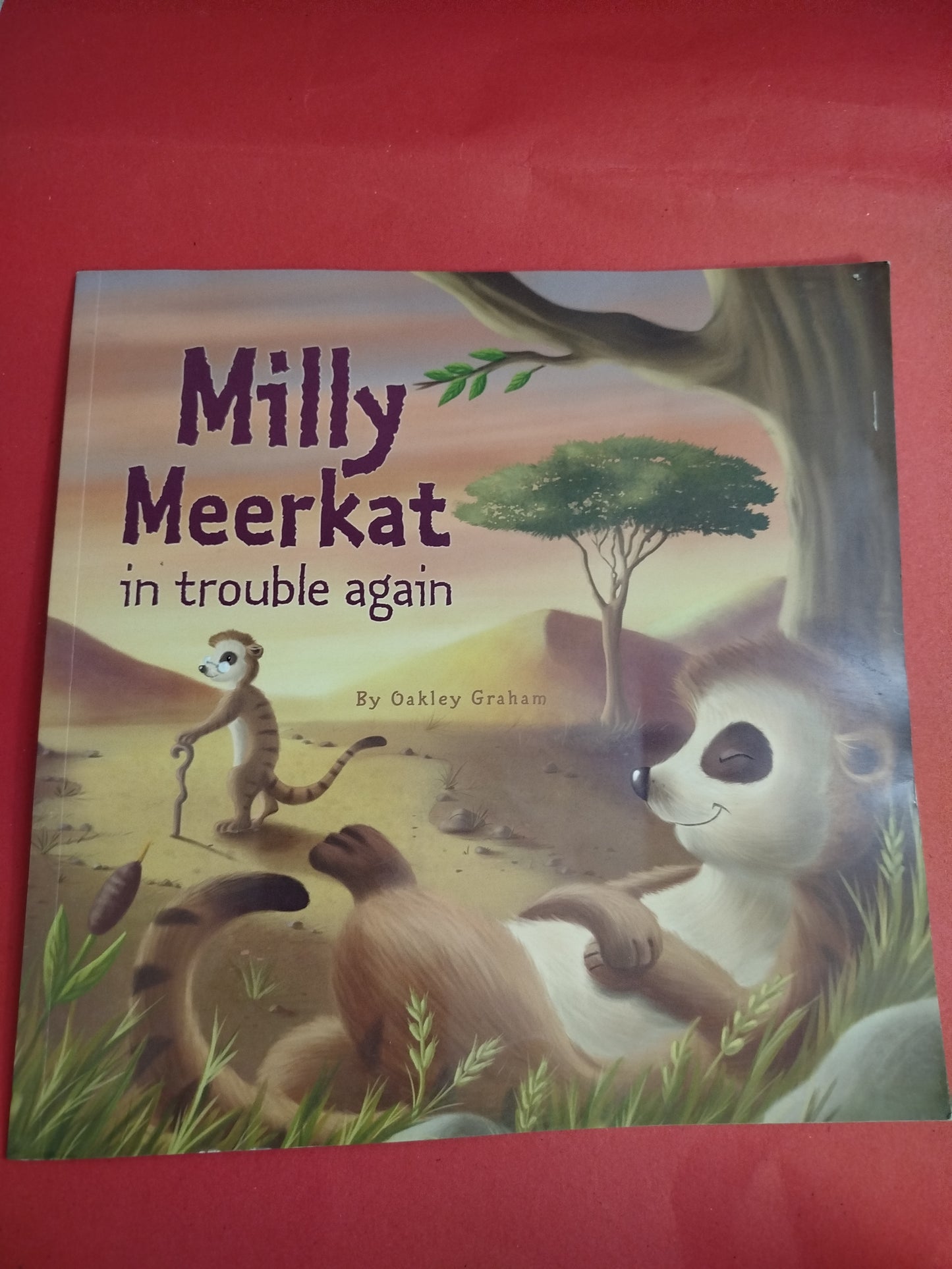 Milly the Meerkat in Trouble Again