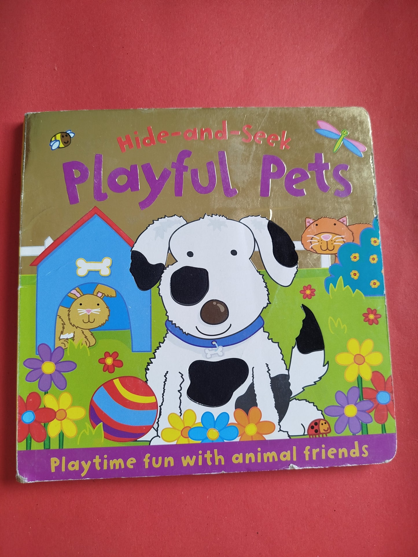 Hide and Seek Playful Pets