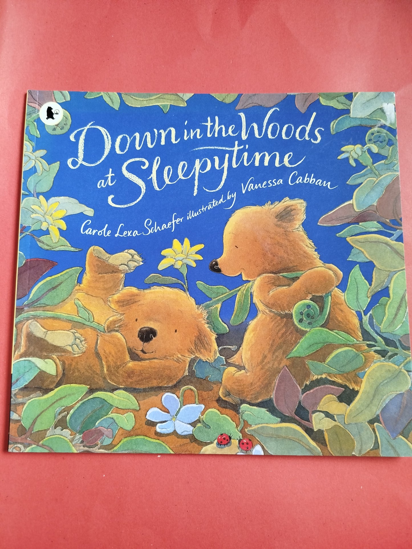 Down in the Woods at Sleepytime