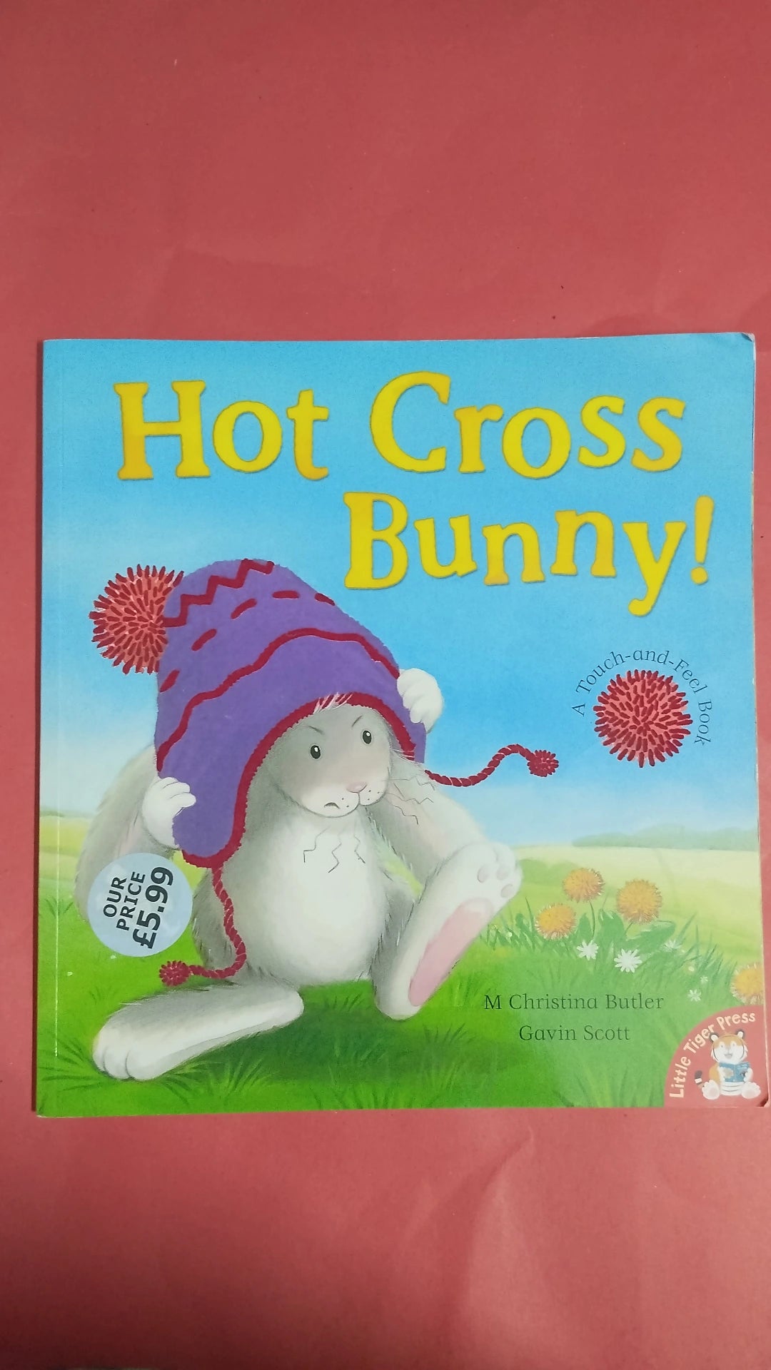 Hot Gross Bunny (Touch and Feel Book)